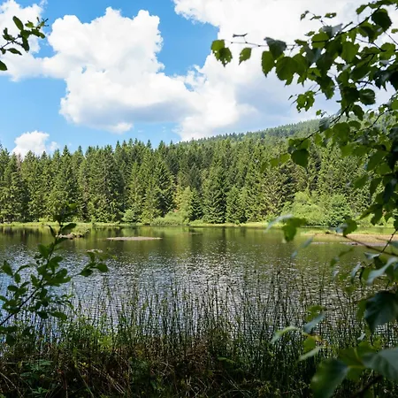 Atypique Appartement *