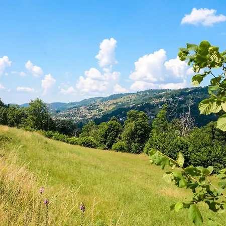 Atypique Appartement La Bresse