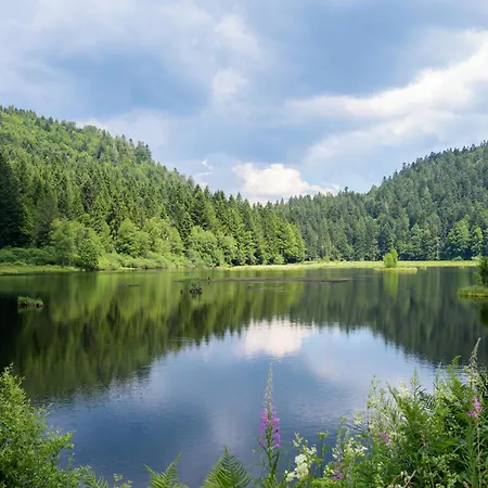 Atypique La Bresse